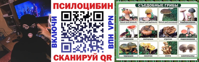 Галлюциногенные грибы мицелий  площадка наркотические препараты  Балашов 